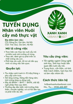 DONG DU - GIA LAM, RECRUITING TISSUE CULTURE STAFF